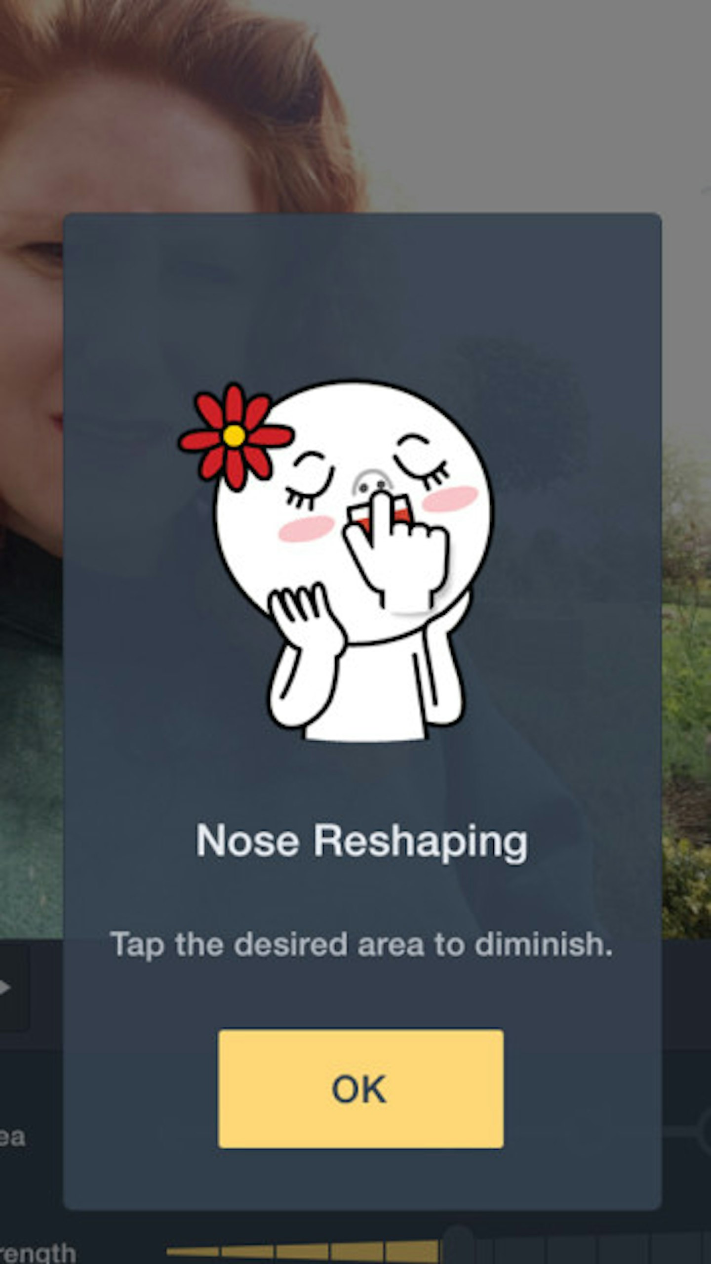 nose reshape